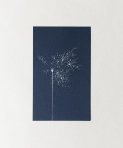 Shunshun Postcard - Senko Hanabi